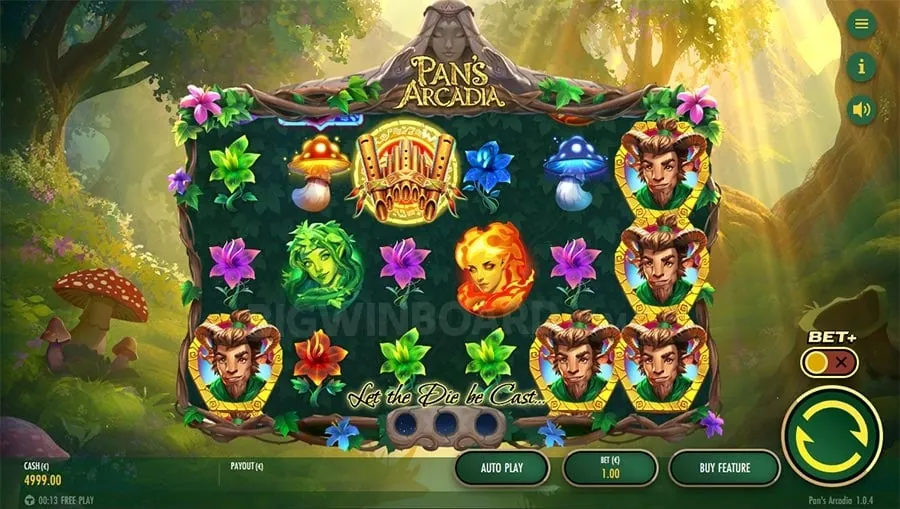 Live Sports Betting Interface